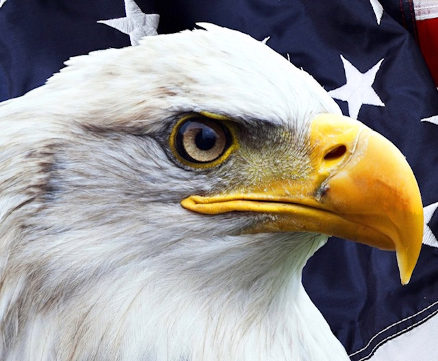 About Eagle Eye Franchise Coaching About Eagle Eye Franchise Coaching